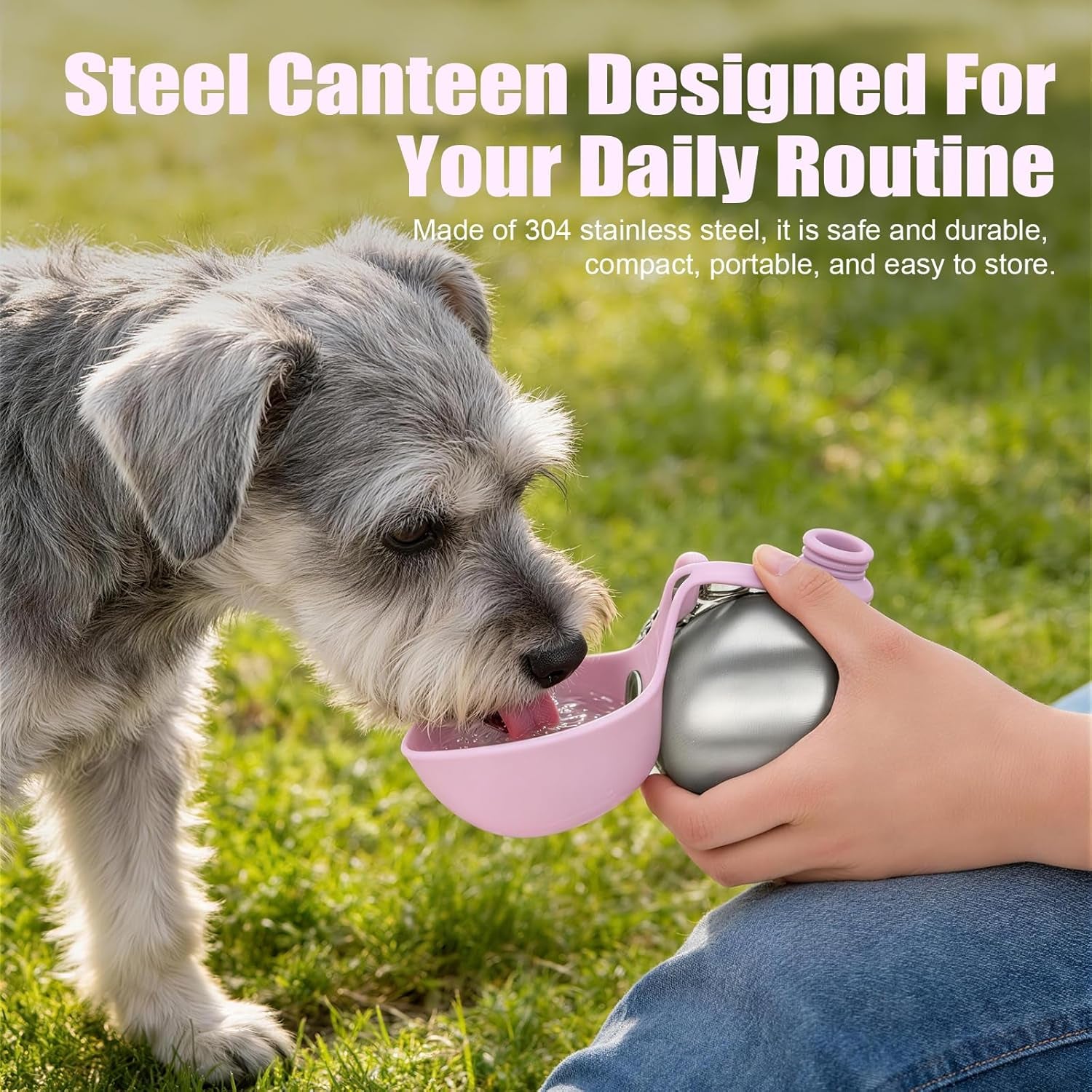 Stainless Steel Portable Dog Water Bottle with Bowl - 10 Oz No-Spill Travel Dispenser for Small Dogs, Ideal for Walking and Hiking