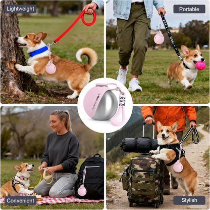 Stainless Steel Portable Dog Water Bottle with Bowl - 10 Oz No-Spill Travel Dispenser for Small Dogs, Ideal for Walking and Hiking
