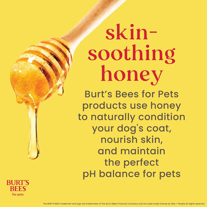 Waterless Shampoo Spray for Dogs, Apple & Honey, No-Rinse Dry Dog Shampoo for All Dogs and Puppies, Ph Balanced, No Sulfates, Parabens, Phthalates, 10 Fl Oz